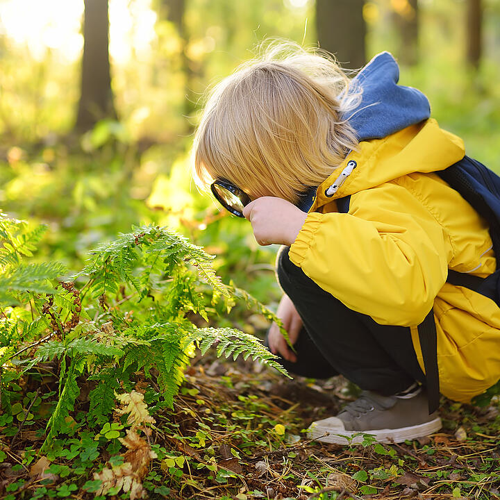 Foto: Maria Sbytiva/ Adobe Stock